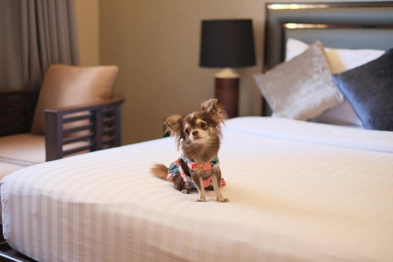 Grand Mercure Bangkok Asoke Residence Εξωτερικό φωτογραφία